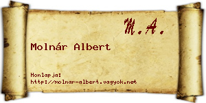 Molnár Albert névjegykártya